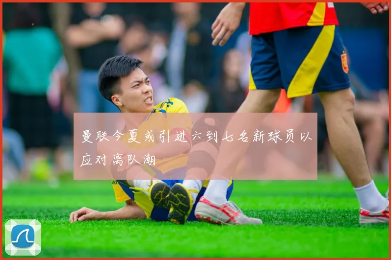 曼联今夏或引进六到七名新球员以应对离队潮