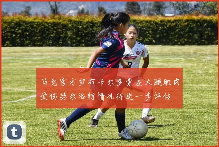 马竞官方宣布卡尔多索左大腿肌肉受伤瑟尔洛特情况待进一步评估